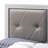 Elegant Transitional Twin Bed In Champagne