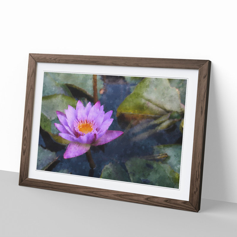 Purple Water Lily Flower - Framed Print, 36cm H x 48cm W x 2cm D, Walnut Framed