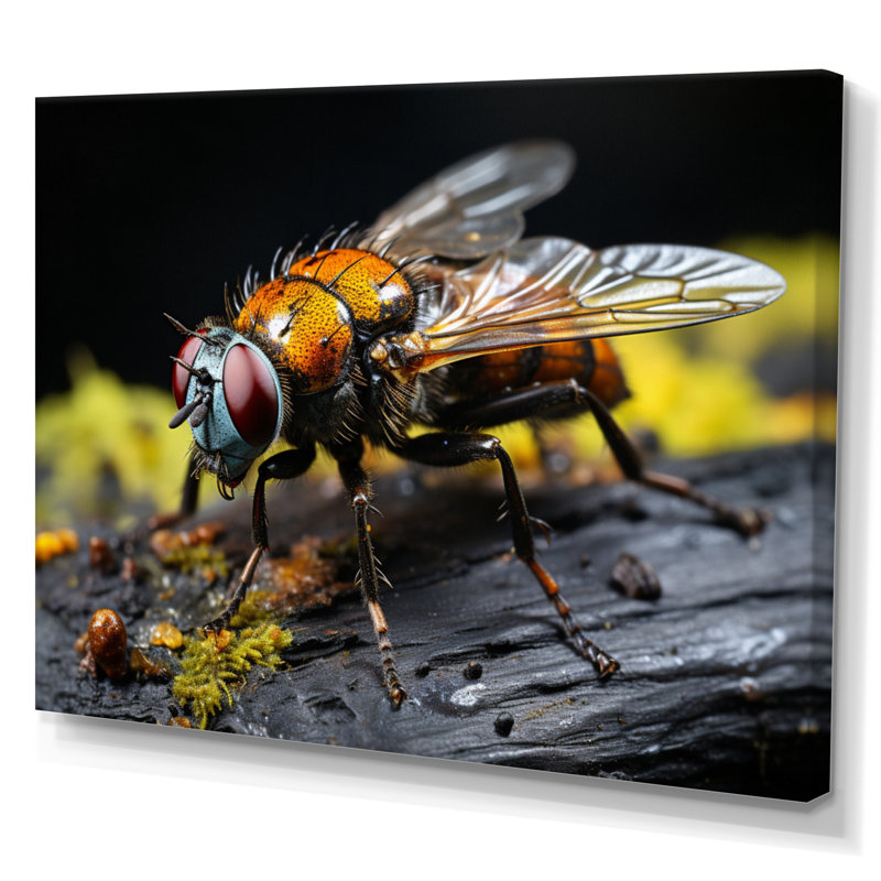 Insectes, insectes, portrait, superbe, H 16 po x l 32 po x P 1 po, Toile tendue