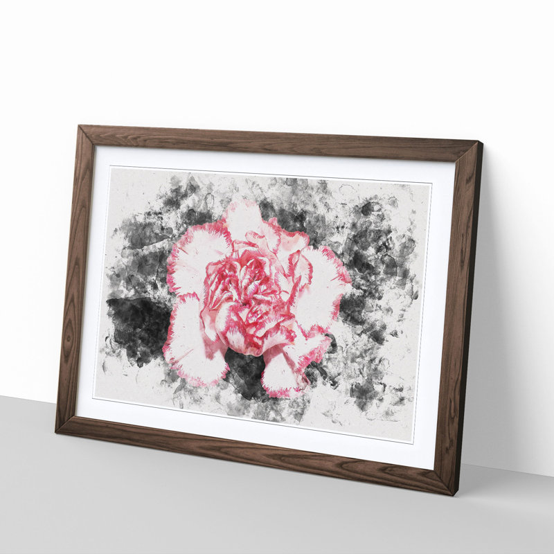 Pink Carnation Flower - Framed Print, 33cm H x 45cm W x 2cm D, Walnut Framed