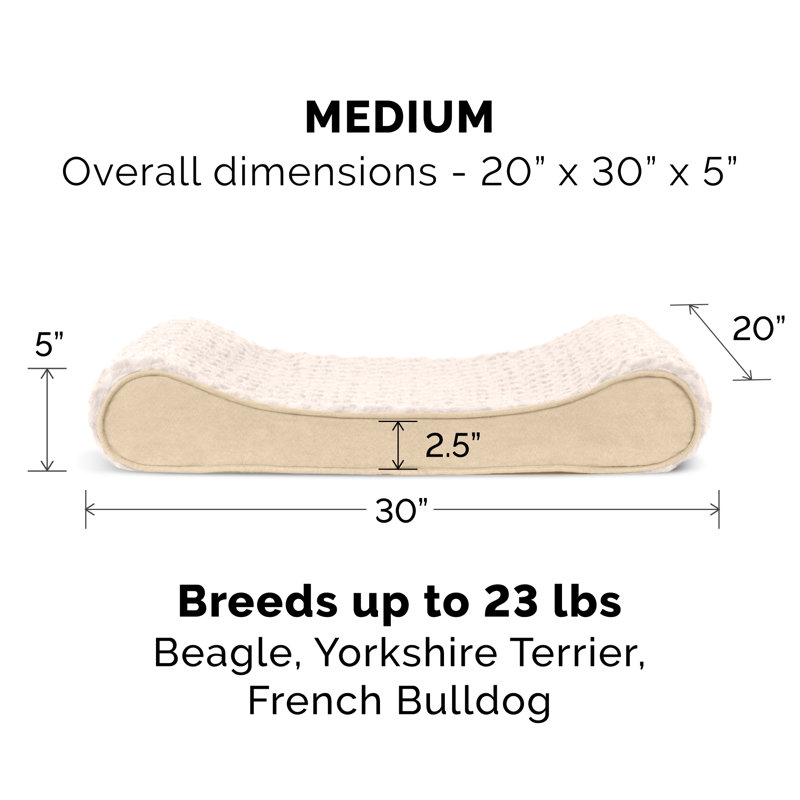 Cream Medium Orthopedic Foam Ergonomic Pet Bed