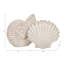 Trish Coastal Shell Polyresin Figurine Set of 2 – Decorative Sculptures for Home Decor, Living Room Tabletop & Shelf Accents - 7",  Distressed White & Beige