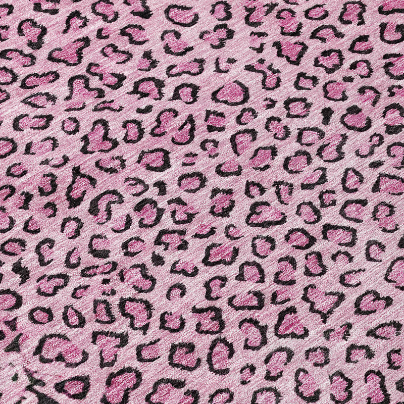 Machine Washable Indoor/Outdoor Claudian ACN1230 Pink Rug, Rectangle 3' x 5'