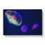 Neon Jellyfish In Abstract - Wrapped Canvas-55308177