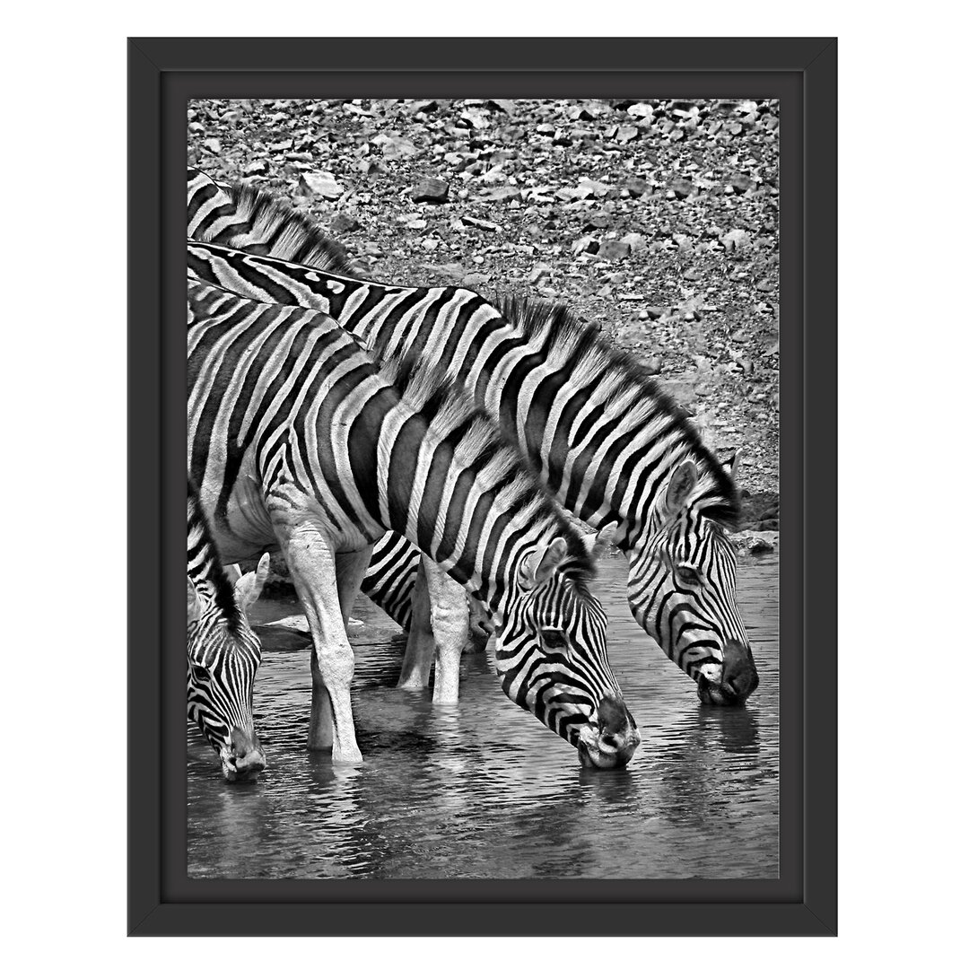 Gerahmtes Wandbild Zebraherde an einem Wasserloch