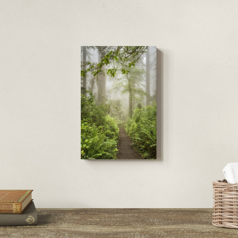 «Summer Forest I» par Dianne Poinski - Photographie sur toile tendue, H 12 po x l 8 po