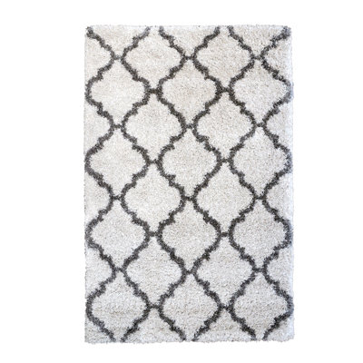Indoor Rug
