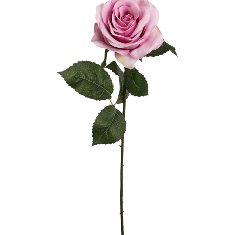 20" Open Rose Stem - 12 Pack