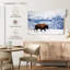 Bison d'Amérique Brampt en hiver-107875030