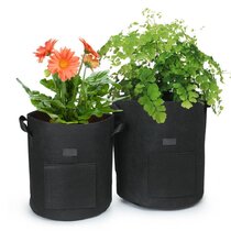 https://assets.wfcdn.com/im/49602540/resize-h210-w210%5Ecompr-r85/1421/142198422/4-Pack+Grow+Bags+Fabric+Flowers+Heavy+Duty+Thickened+Nonwoven+Plant+Fabric+Pots+with+Handle.jpg