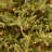 Frasier Grande Tree with Clear Lights-88040079