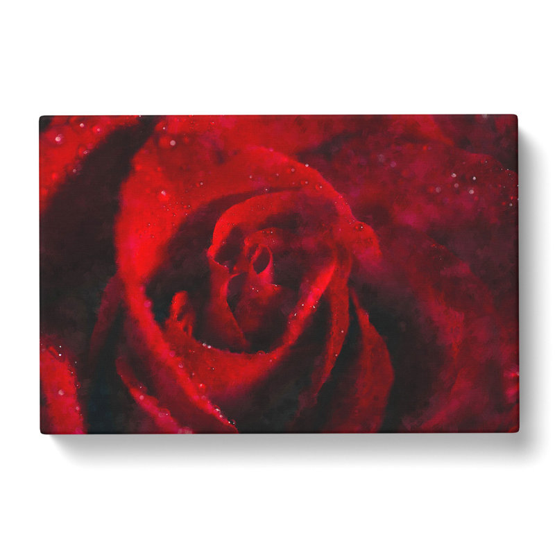 Drops Upon A Red Rose Painting - Wrapped Canvas, 35cm H x 50cm W x 3cm D