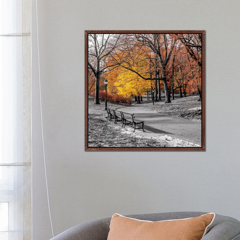 Park Pretty I by Assaf Frank - Print on Canvas, Classic Brown Wood Framed Canvas, 66.04 cm H x 66.04 cm W