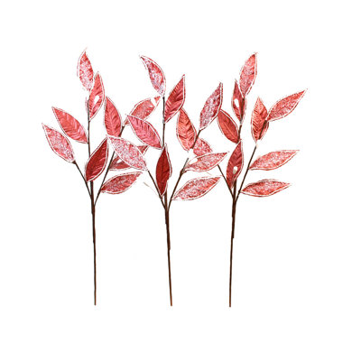 Choix feuillus