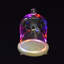 Pleasanton Cloche Or Water Globe-1983173279
