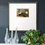 «Golden Peacock Vpremium», reproduction encadrée-88074779-106005456