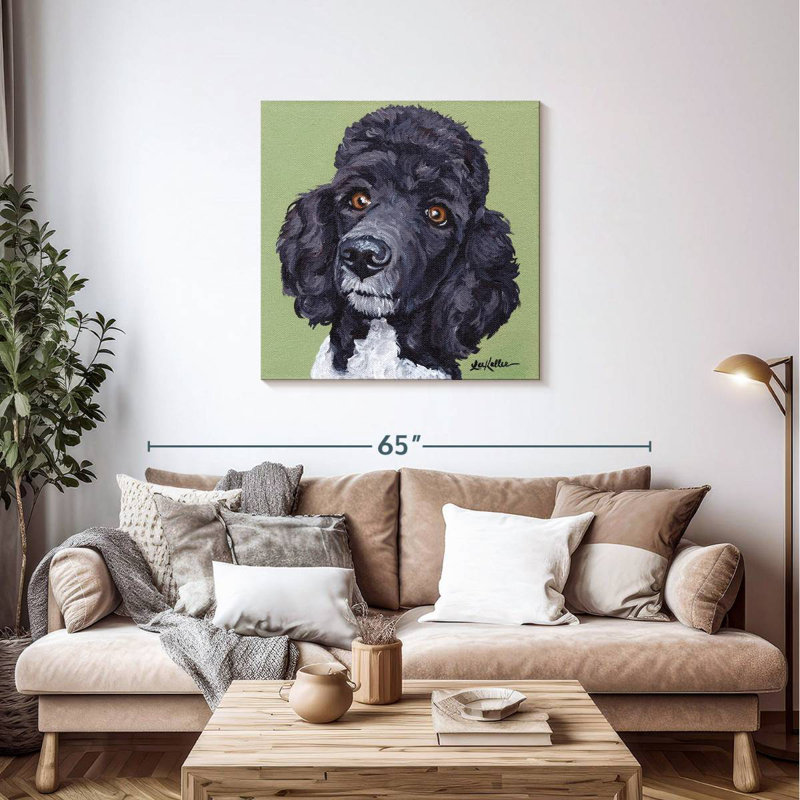 Caniche standard Tommy, H 36 po x l 36 po