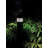 35 Watt - A-Plus 28 - LED - CCT Selectable And Wattage Selectable - Extended Mogul Base - Colorquick Technology - Powerquick Technology