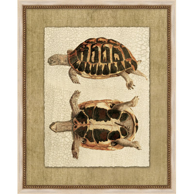 Neutre tortue 3 - Peinture encadrée sur papier