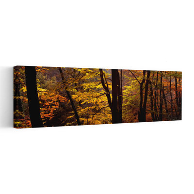 Mid Section View Of Trees, Littlebeck, North Yorkshire, England, United Kingdom Tranquil Abstract Contemporary Autumn Forest Wall Art