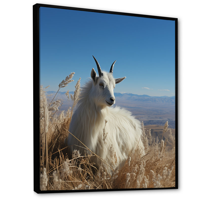Art mural blanc chèvre solitaire blanc, Cadre flottant noir, 32" H x 16" W