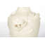 Snow Magolia Table Lamp
