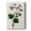 AntiqueFloralFolioIX - Galerie Cavas sur mesure-118065563