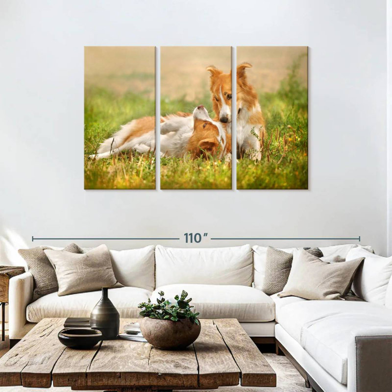 Brampt Border Collie Playtime, 48" H x 74" W