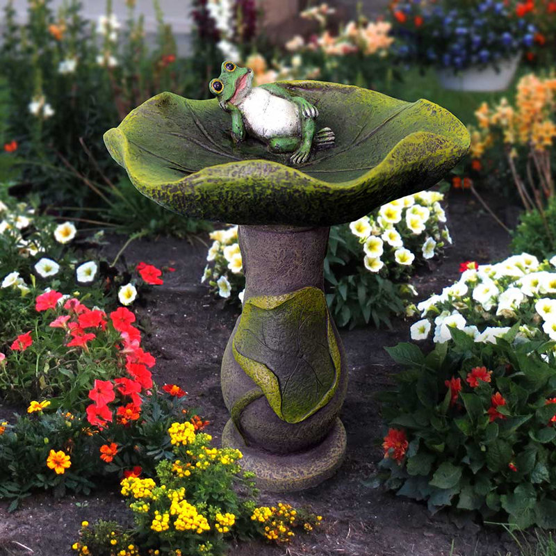 Bain d'oiseaux Lazy Frog