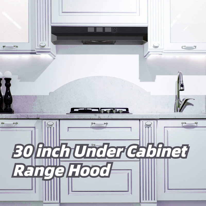 Tieasy 30" Stainless Steel 250 CFM Convertible Under Cabinet Range Hood, Black