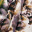 Tapisserie murale «Dogs Shih Tzu»-133646810