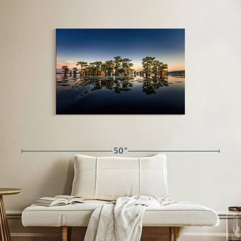 Parc d'État Alvord Caddo Lake, H 26 po x l 39 po