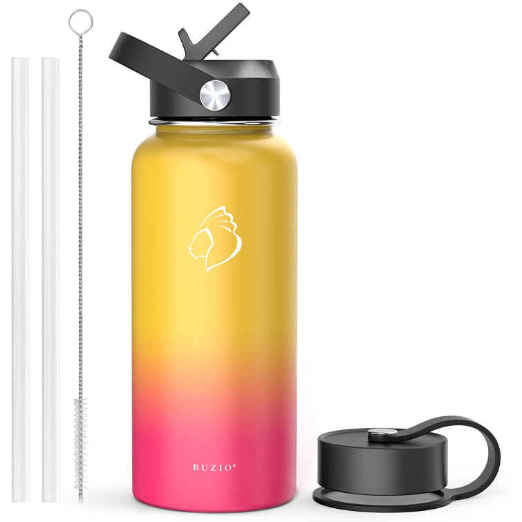 https://assets.wfcdn.com/im/49607826/resize-h755-w755%5Ecompr-r85/2083/208306855/Buzio+Insulated+Stainless+Steel+Water+Bottle.jpg