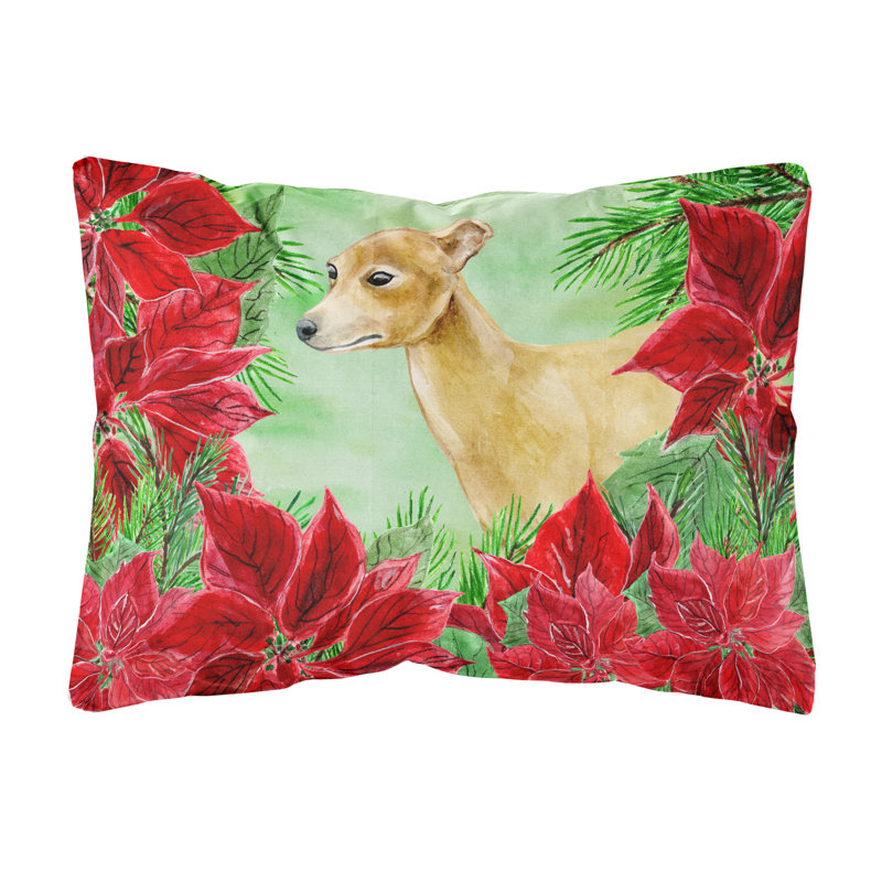  Coussin décoratif intérieur / extérieur Italian Greyhound Poinsettias