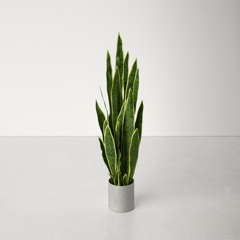 Artificial Sansevieria Snake Plant in Pot, 36'' H x 12.5'' W x 12.5'' D