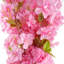 Plastic, Silk Artificial Arrangement