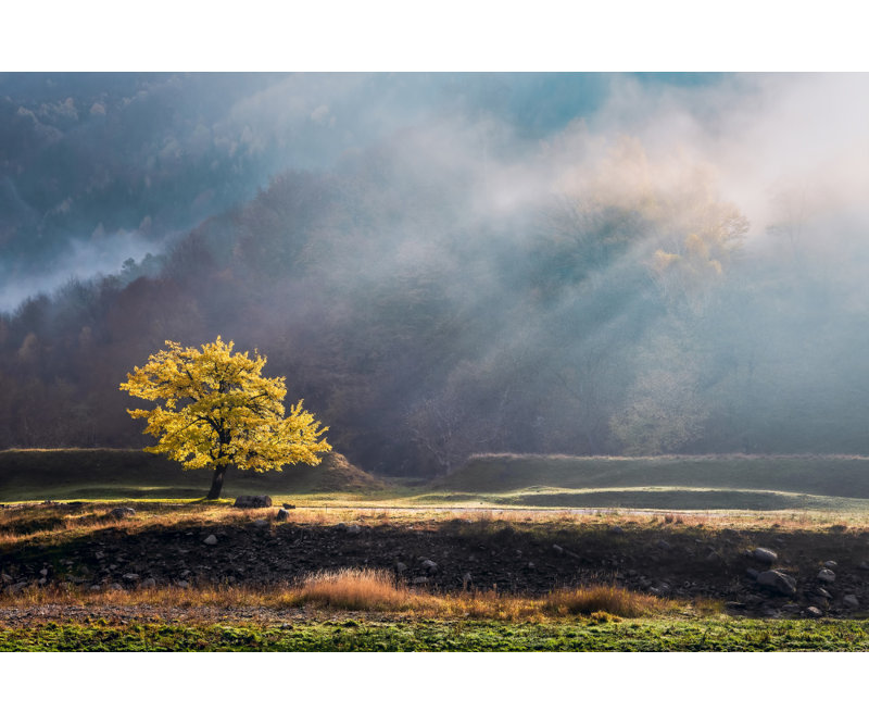 Wrapped Canvas Print, 50.8 cm H x 76.2 cm W