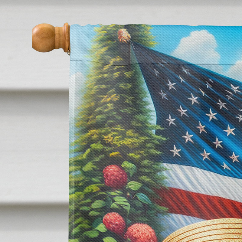 Drapeau «All American House», Bleu / rouge rayé Saint-Bernard