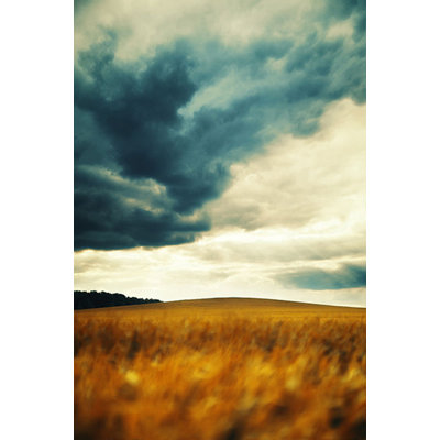 Color Your Mood_99 Print by David Keochkerian