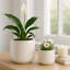 Jardinières décoratives à pois et lignes décoratives - Ensemble de jardinières d'intérieur et d'extérieur modernes et élégantes pour patio et salon - Ensemble de 2, 11 ", 8", blanc