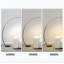 Lampe sur pied arquée 67 po