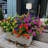 Noriega Wheelbarrow Planter