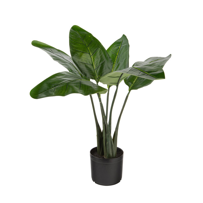 Mangue artificielle en pot, H 31,49 po x l 26 po x P 26 po