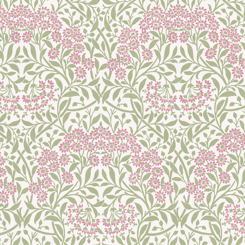  Michaelmas Daisy Pink Cedar Wallpaper