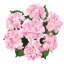 Tige d'hortensia de luxe Cragmont-715876244