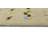Performance Wool Indoor Rug