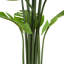 57 po plante artificielle avec pot Monstera Deliciosa