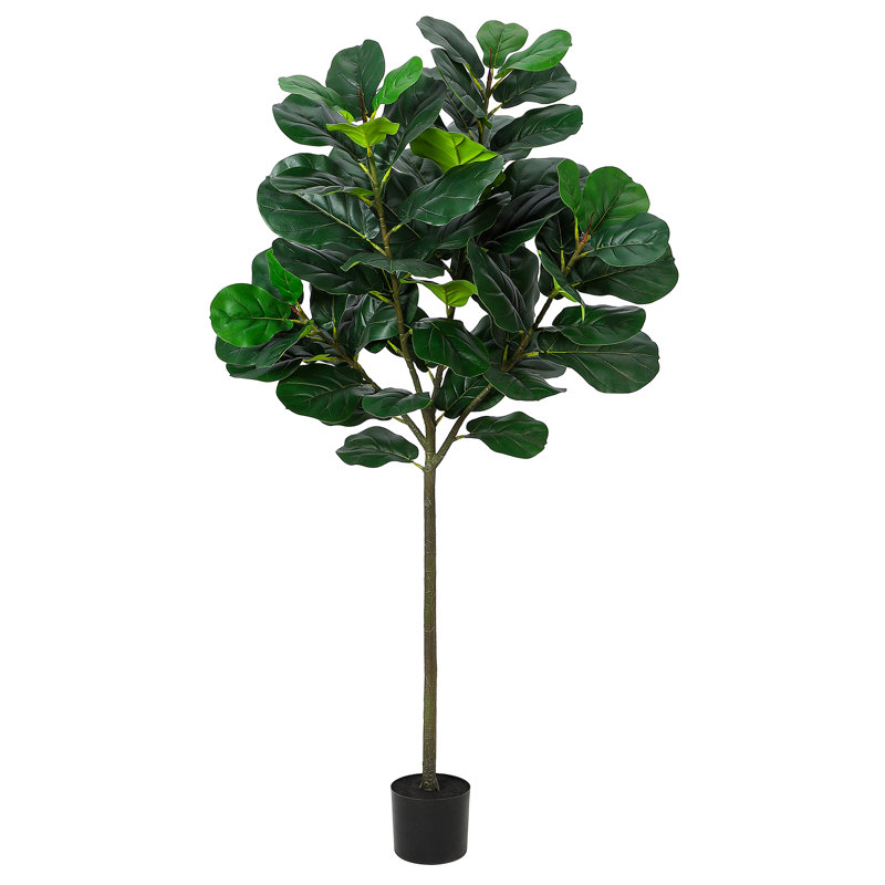62.4'' Faux Fiddle Leaf Fig Tree Tree in Cement Pot