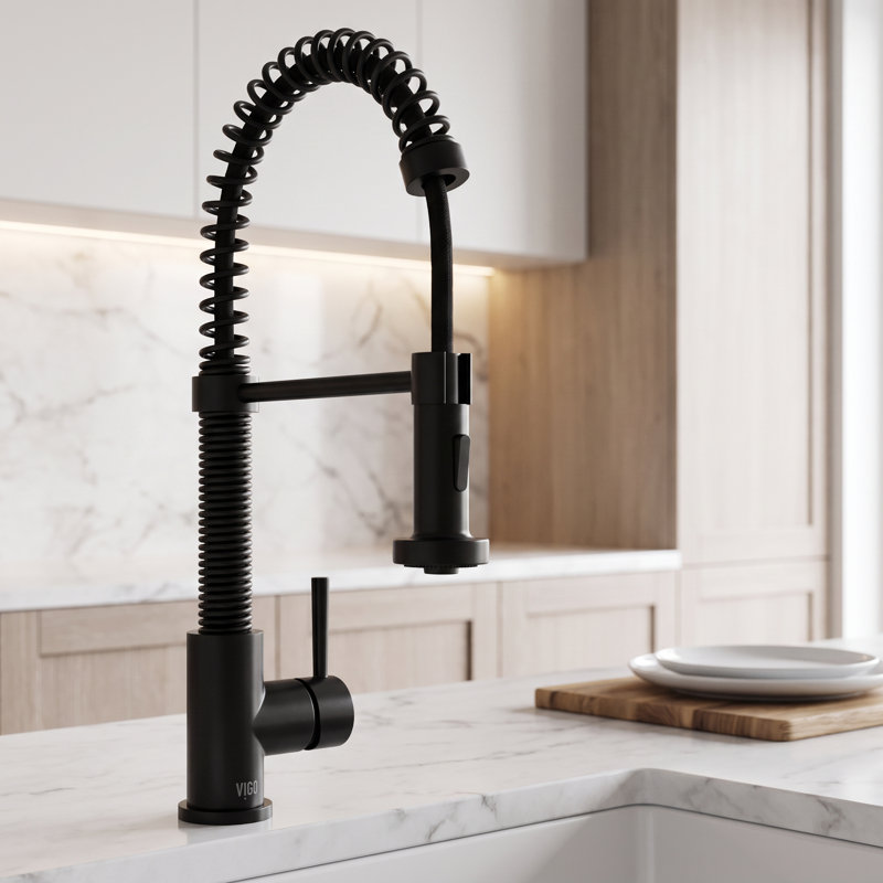 Edison 19" H 1-handle Pull-Down 2-Function Sprayer Kitchen Faucet, Matte Black, Without Soap Dispenser