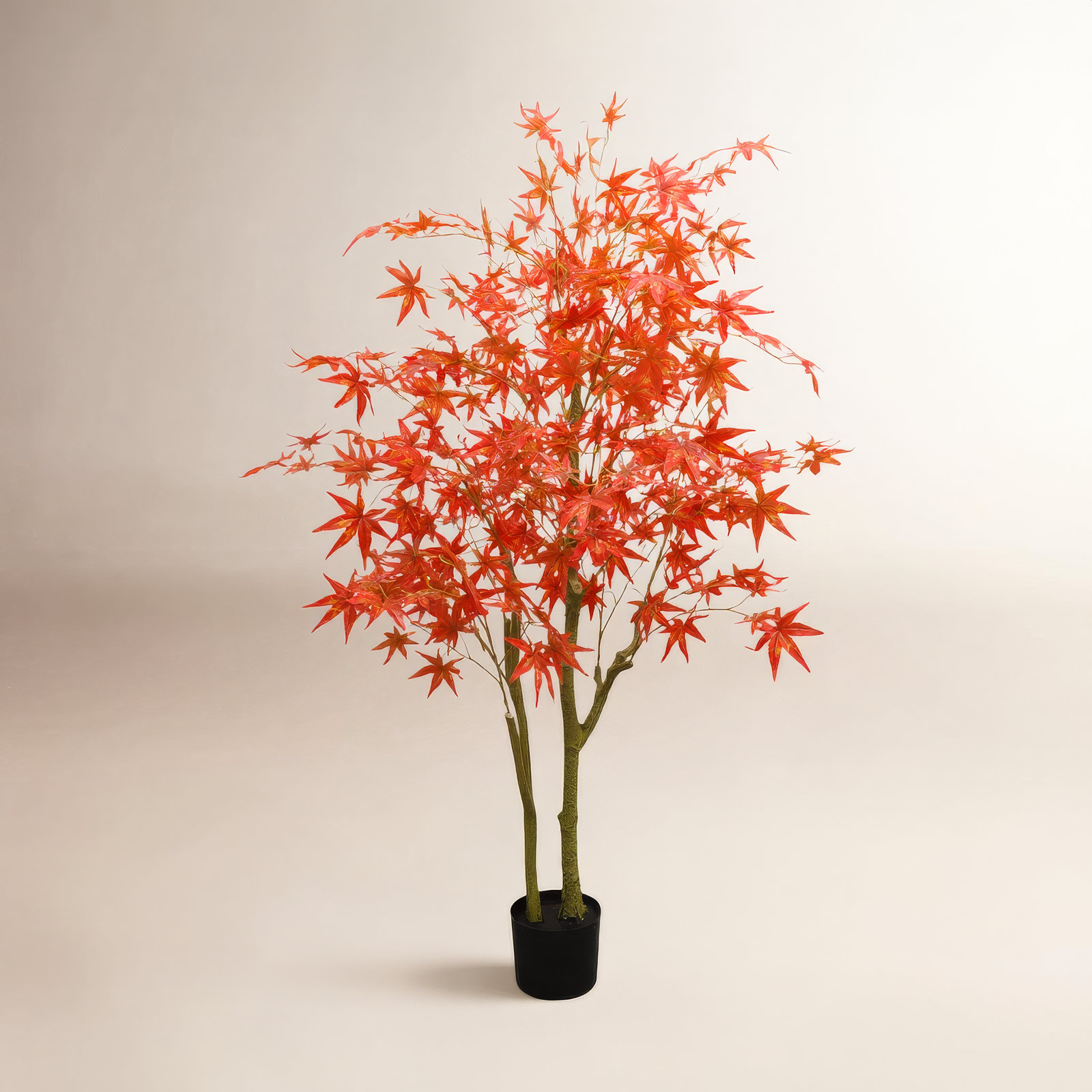 Maple Tree in Pot, 59.06" H x 5.91" W x 5.91" D